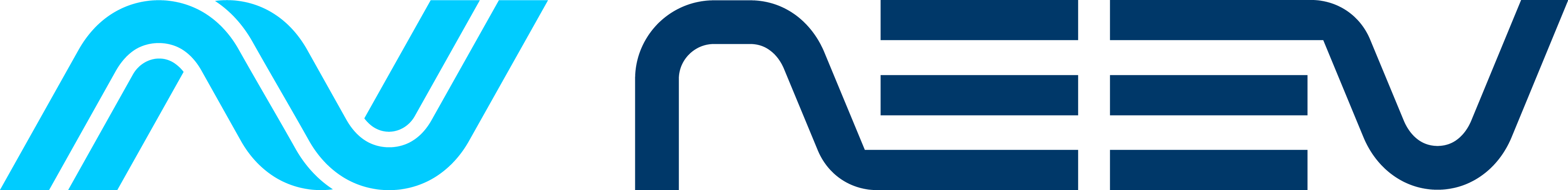 Team Neev logo
